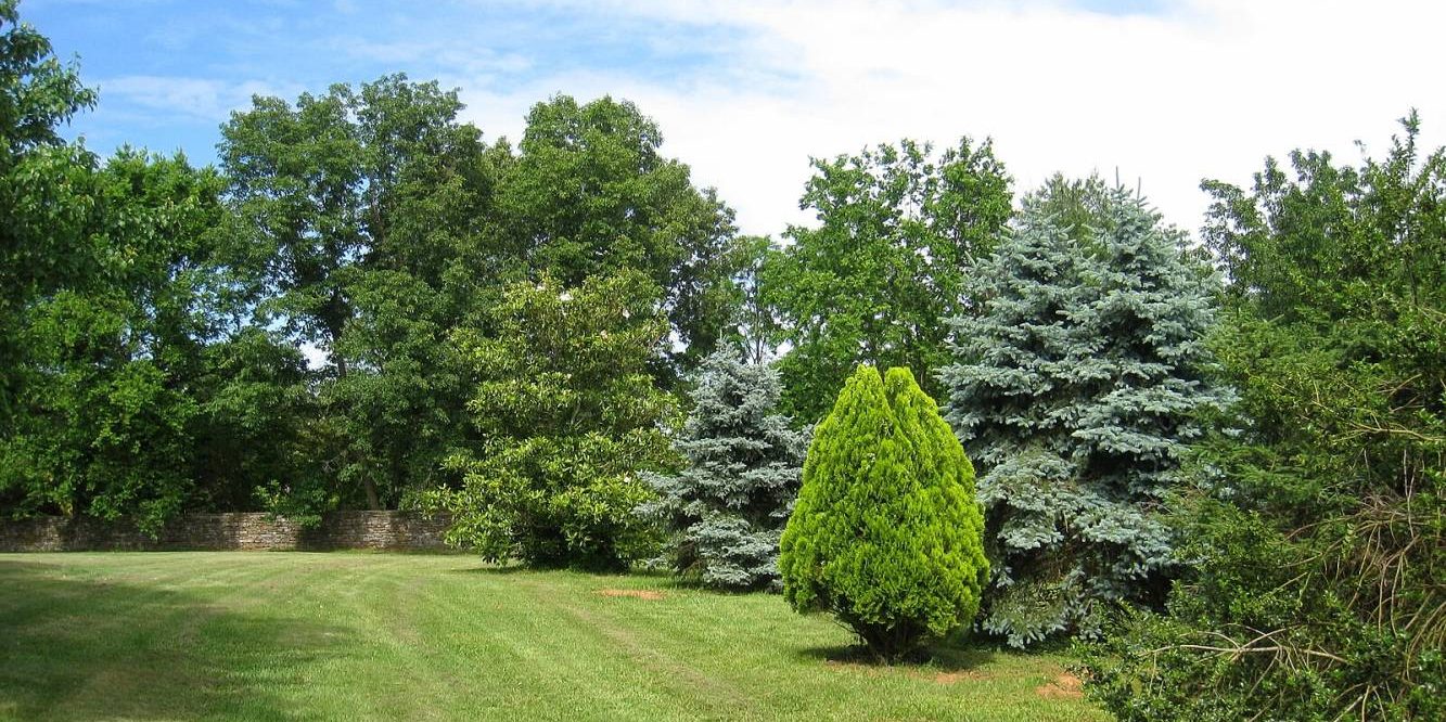 Knoxville Botanical Garden and Arboretum
